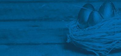 course_header_automatic enrolment and pensions for payroll.jpg