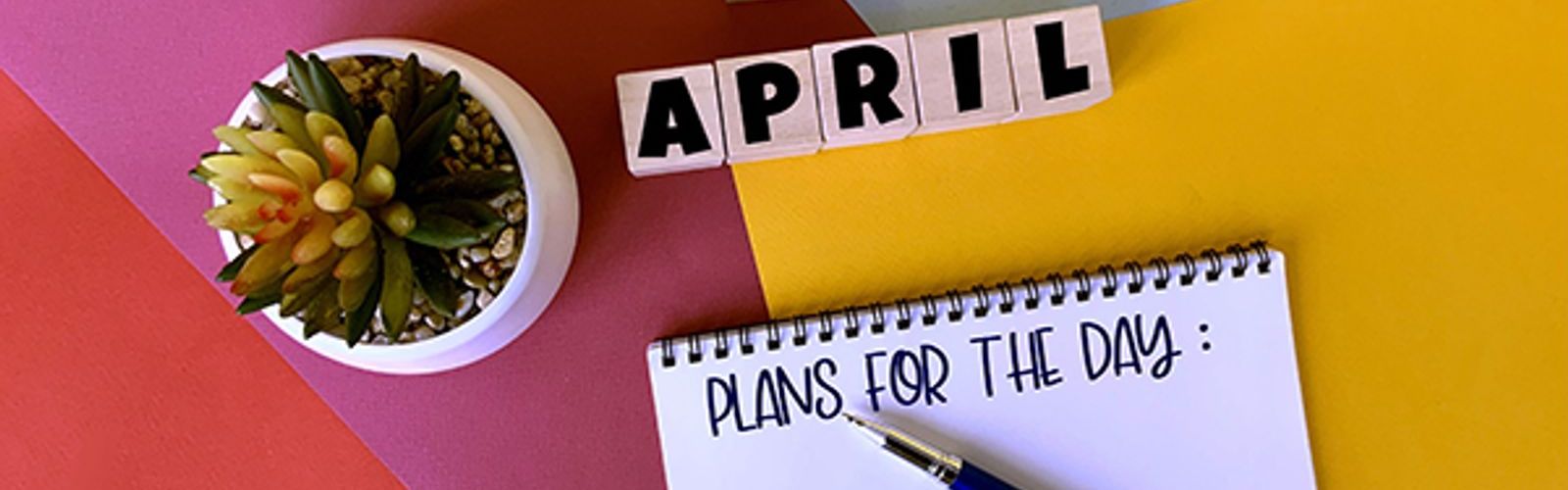 6 April on blocks (412182145).jpg