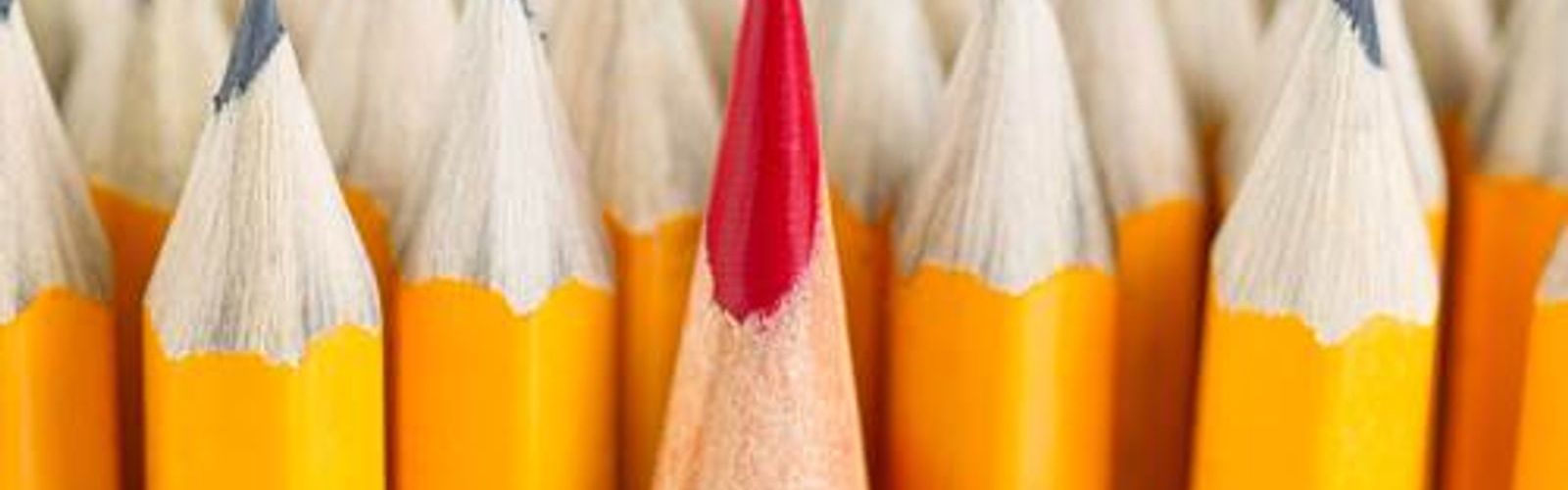 standing out - red pencil amongst yellow pencils _257617369_web_small_NOL.jpg