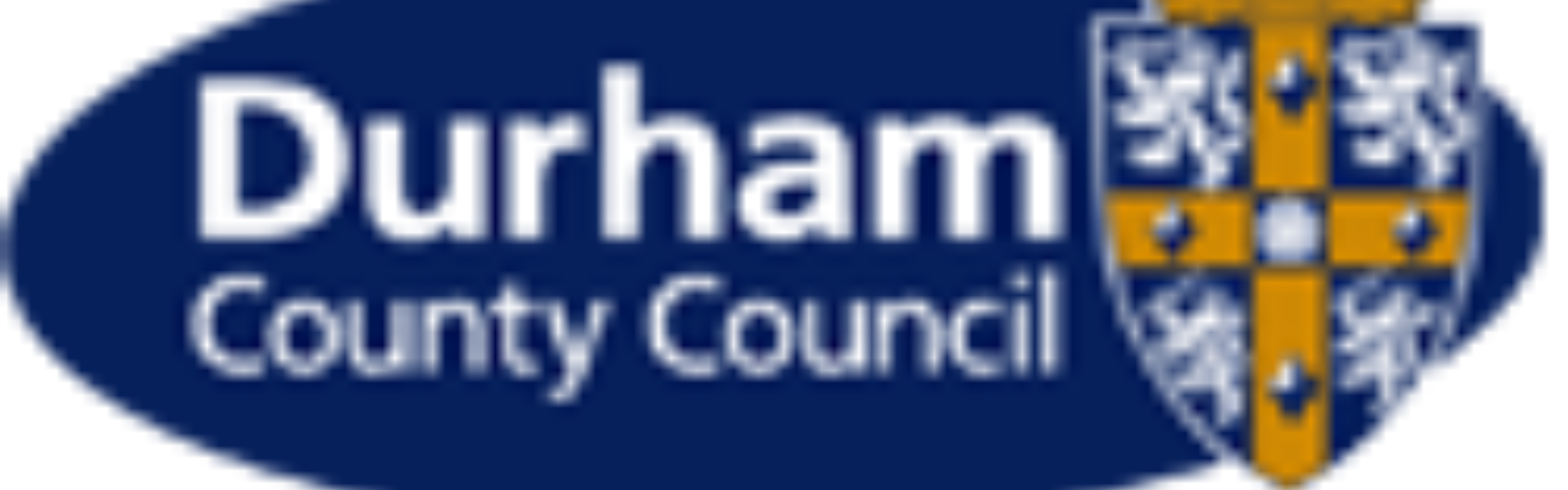 durham county council logo web rip nov 2019._nol 125x115pxpng.png