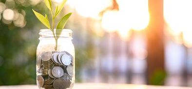 Growing-Money-Business-Finance (bs412370782) .jpg