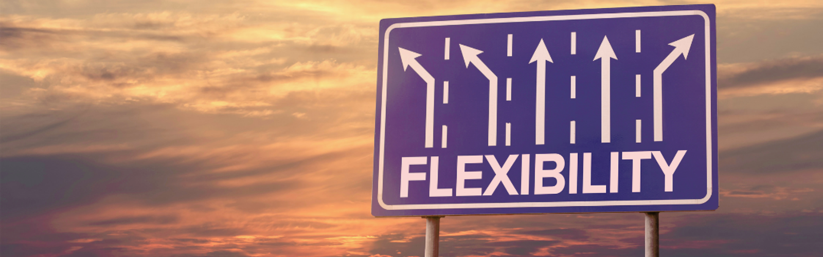 Blog banner images - flexible.png