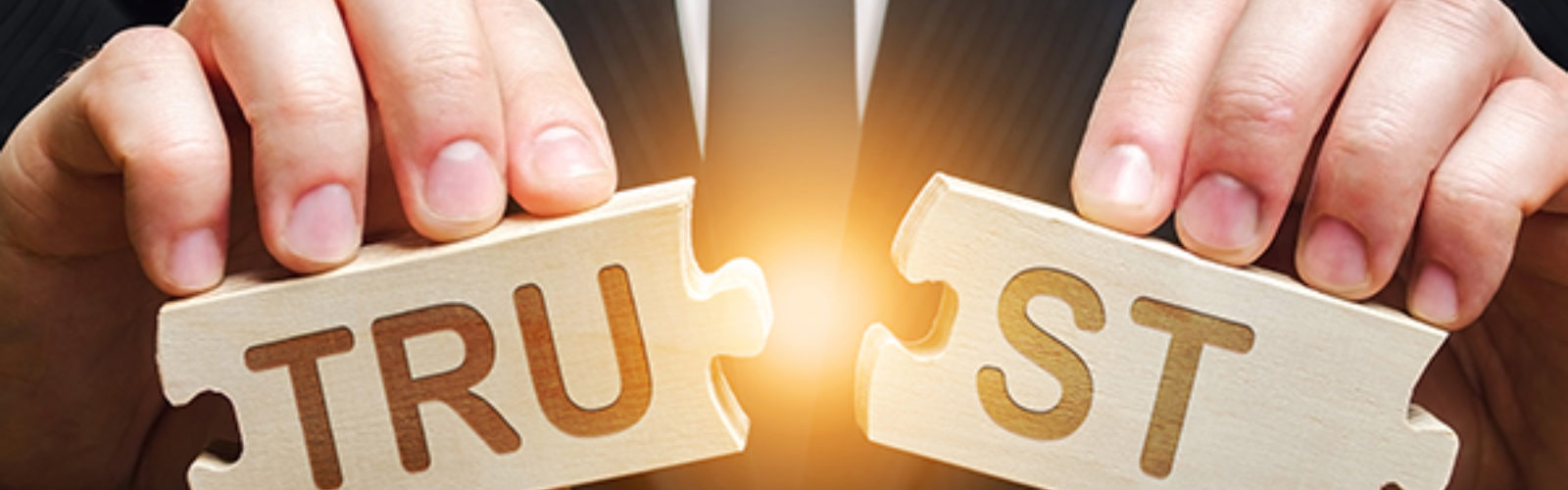 Trust Puzzles (bs359166013)_.jpg
