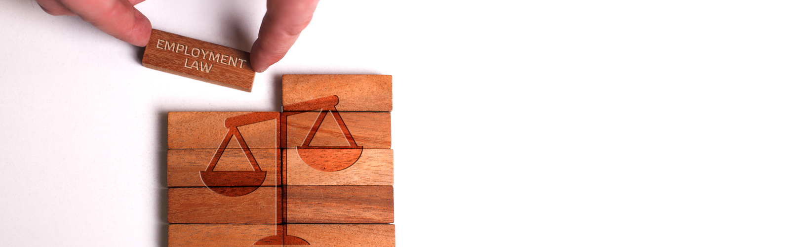 Employment law (bs401118536).png