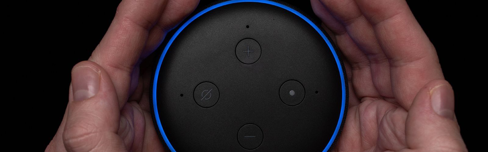 Alexa (bs401282003).jpg