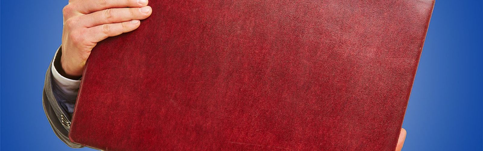 man holding red briefcase - budget - blue background (bs 109455590)_web.jpg