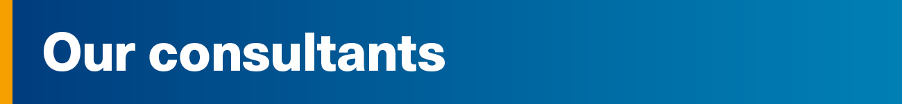 consult banner 2026 consultants.jpg