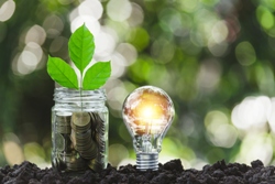 07. Growth, ideas 250 x 167px.jpg