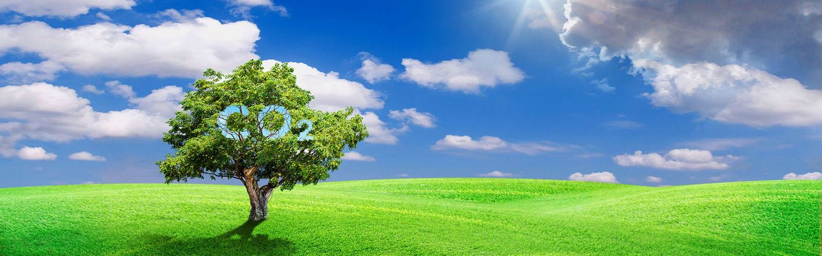 renewable energy green field with co2 cloud_bs475342845_web.jpg