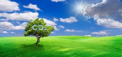 renewable energy green field with co2 cloud_bs475342845_web.jpg