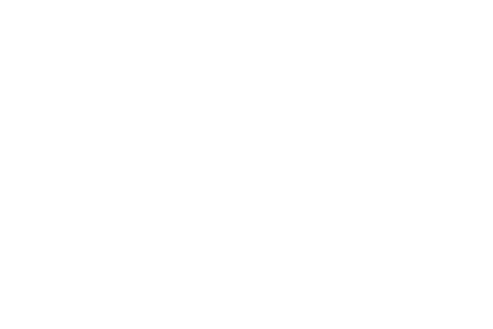 Zellis