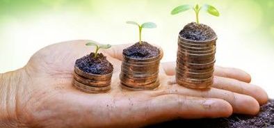 hand with stacks of money growing_220473742_web_small_NOL.jpg