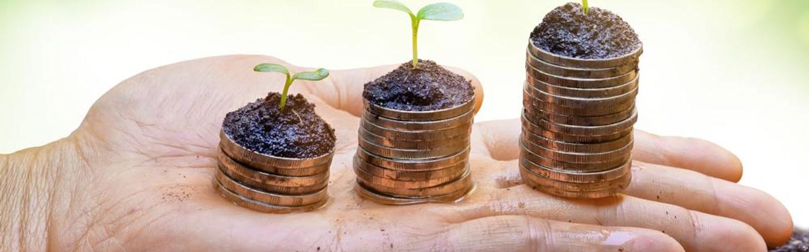 hand with stacks of money growing_220473742_web.jpg
