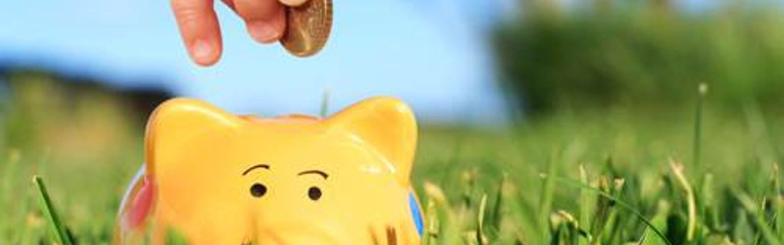 yellow piggy bank on grass _143648179_web_small_NOL.jpg