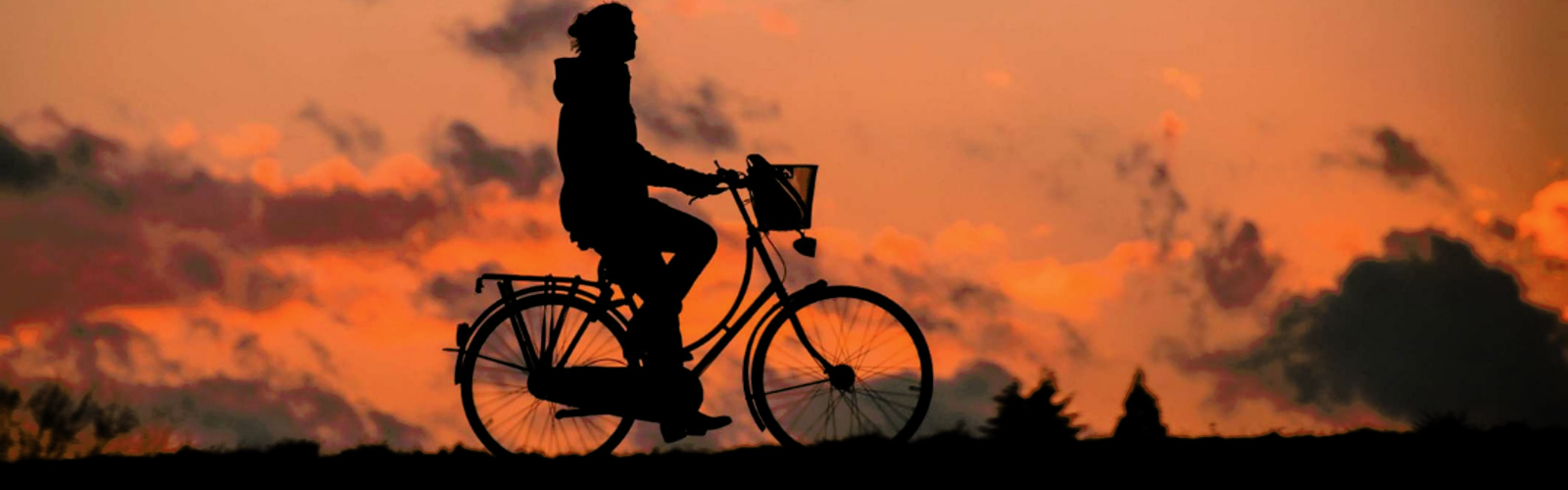 e-bike.png