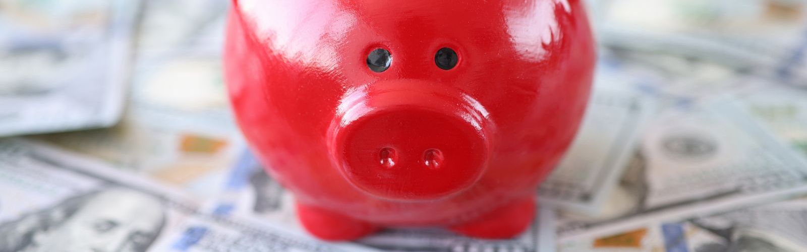 red piggy bank (bs425030777).jpg