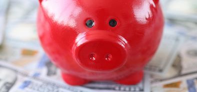 red piggy bank (bs425030777).jpg
