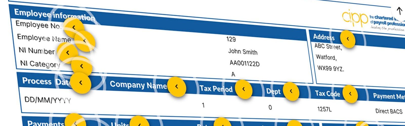 CIPP payslip tool website tile 2023.jpg