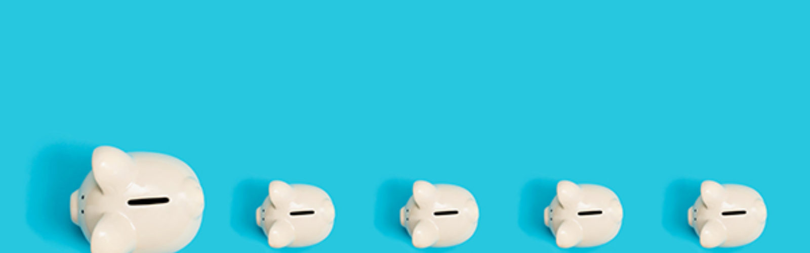 Piggy banks (bs322632973)_.jpg