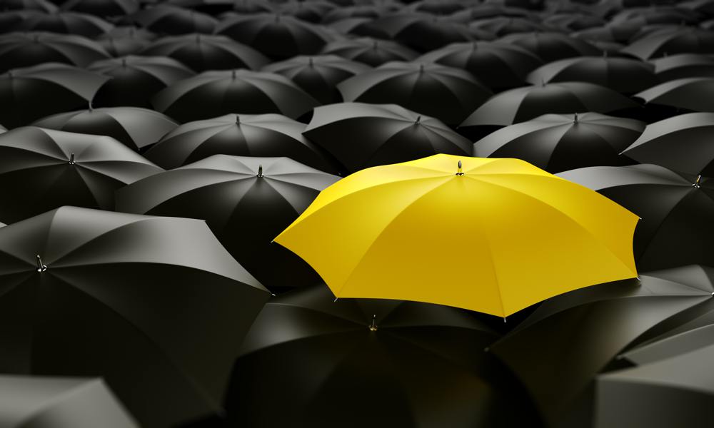 Yellow umbrella with grey umbrella_12940873_web.jpg